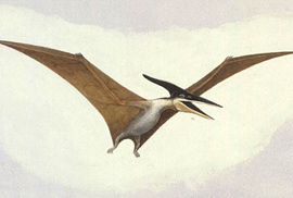 Dragon_Pteranodon